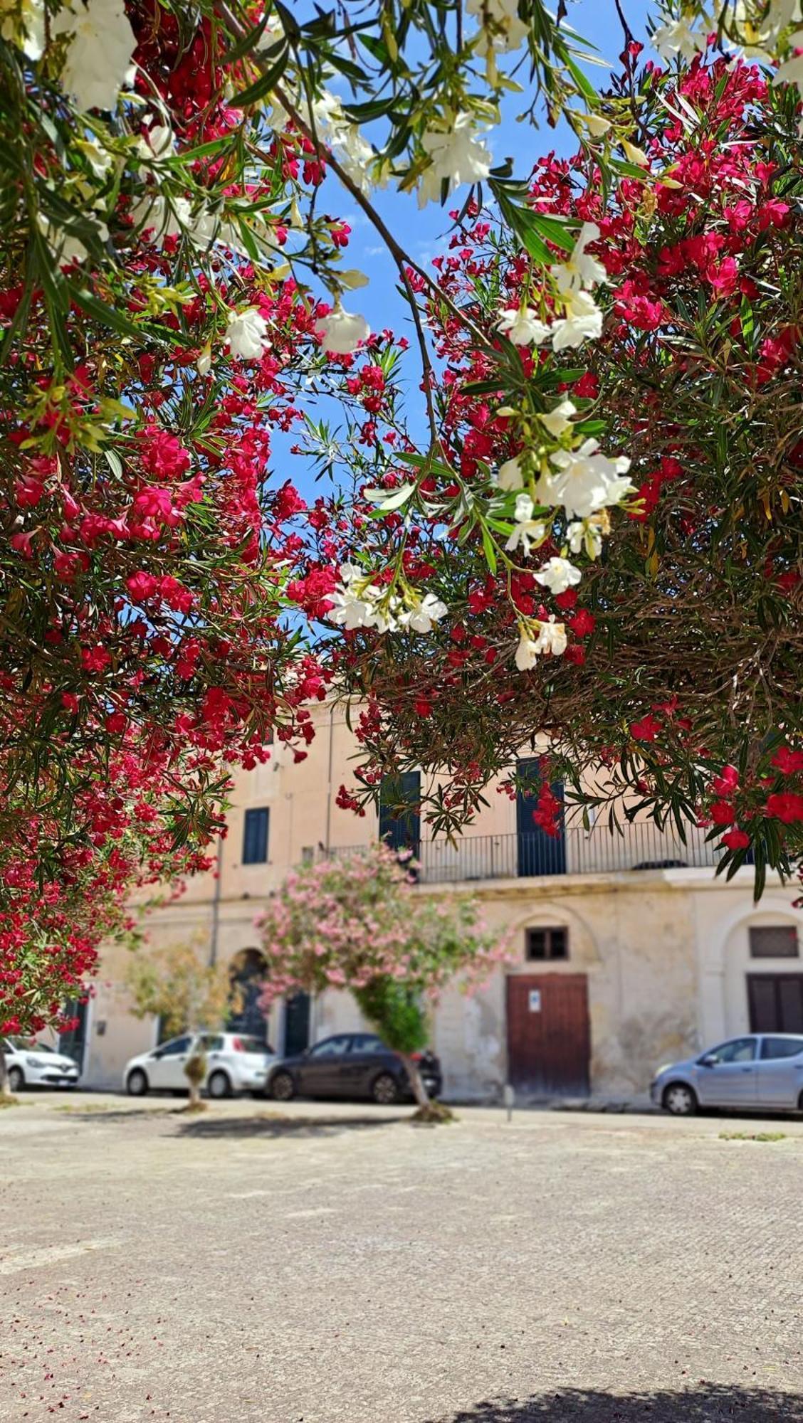 Mayu'S House , Dimora Nel Centro Storico Di Лечче Экстерьер фото